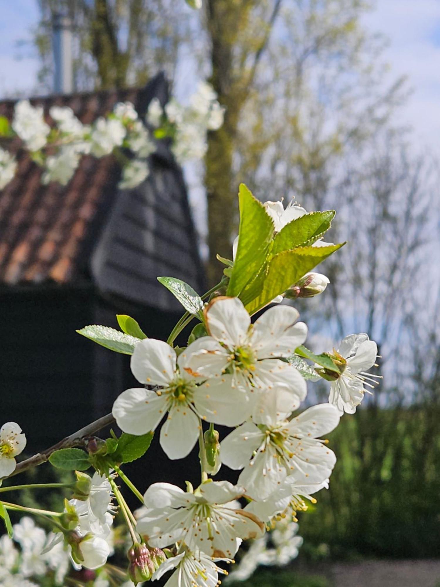 De Zeeuwsche Hoeve Kerkwerve Zewnętrze zdjęcie