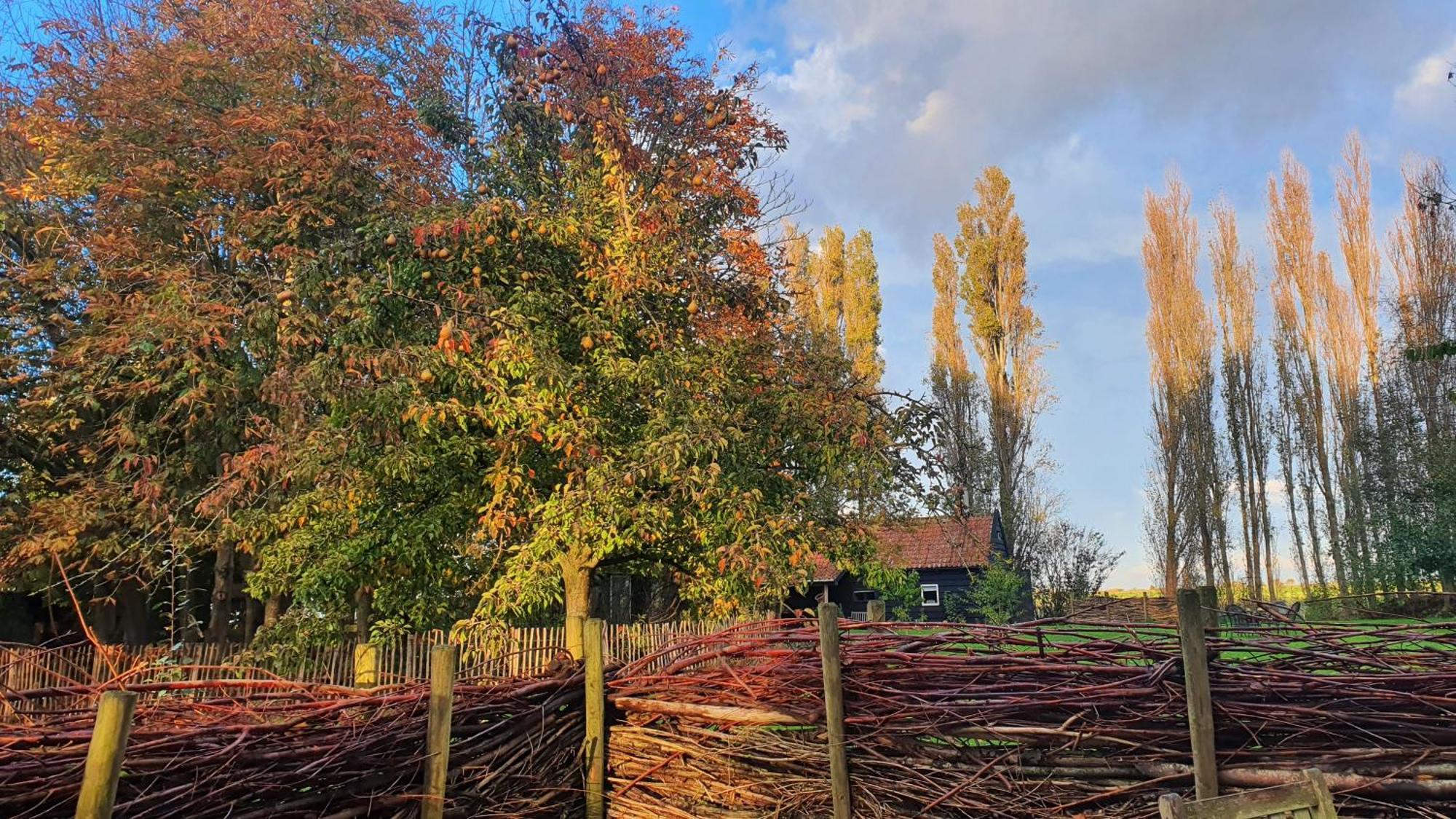 De Zeeuwsche Hoeve Kerkwerve Zewnętrze zdjęcie