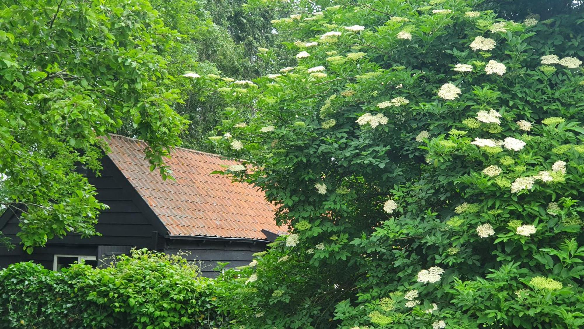 De Zeeuwsche Hoeve Kerkwerve Zewnętrze zdjęcie