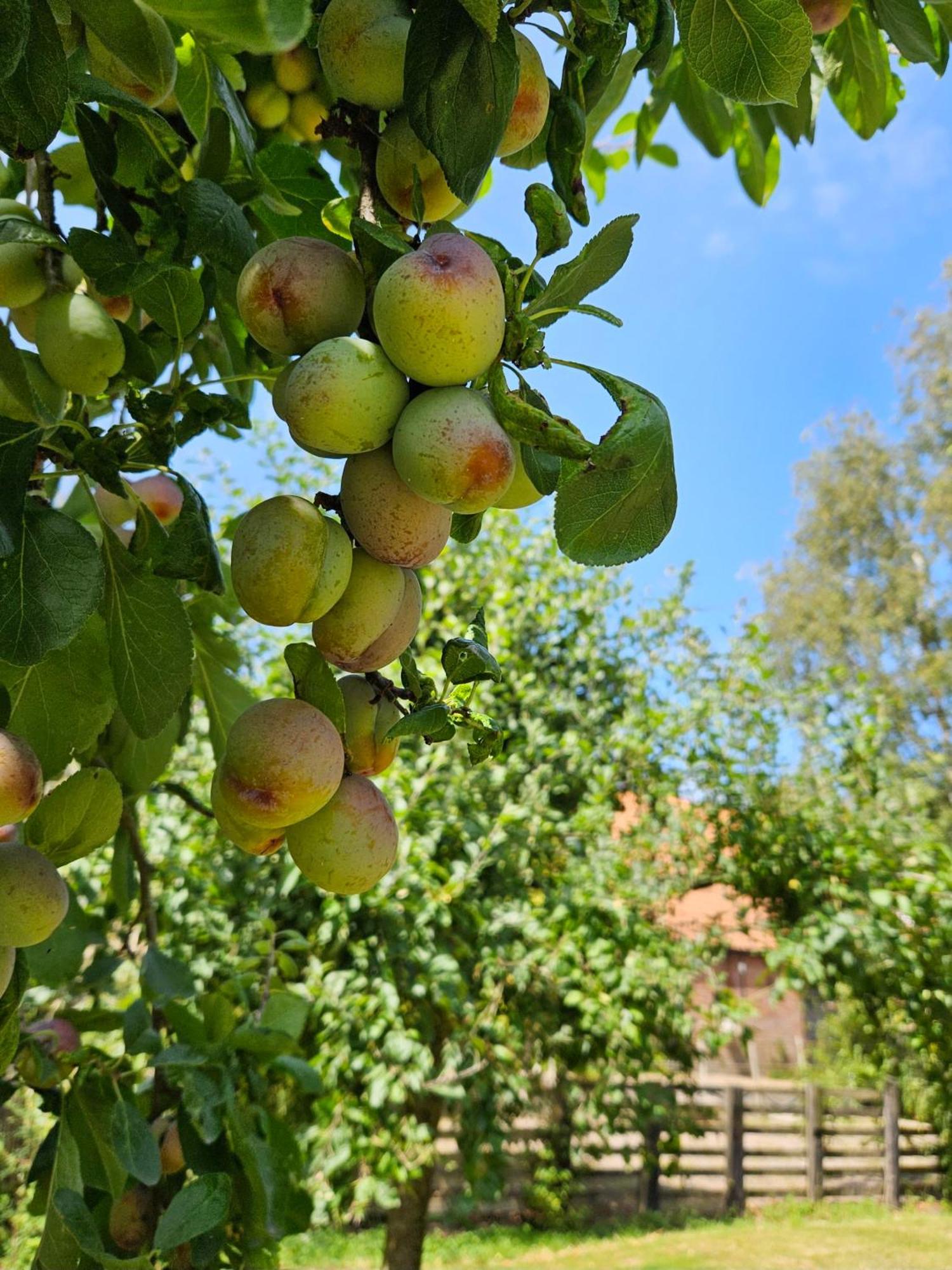 De Zeeuwsche Hoeve Kerkwerve Zewnętrze zdjęcie