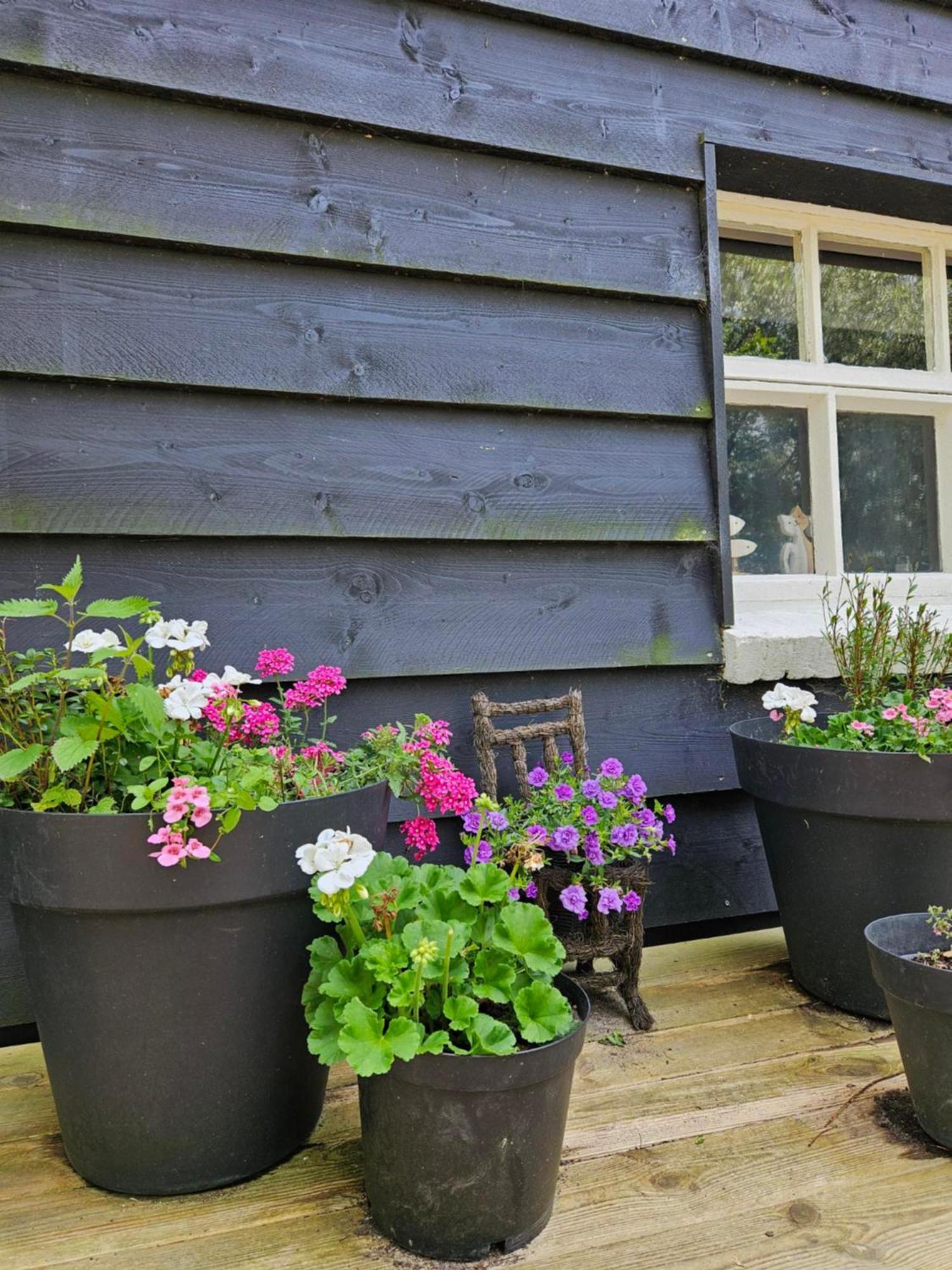 De Zeeuwsche Hoeve Kerkwerve Zewnętrze zdjęcie