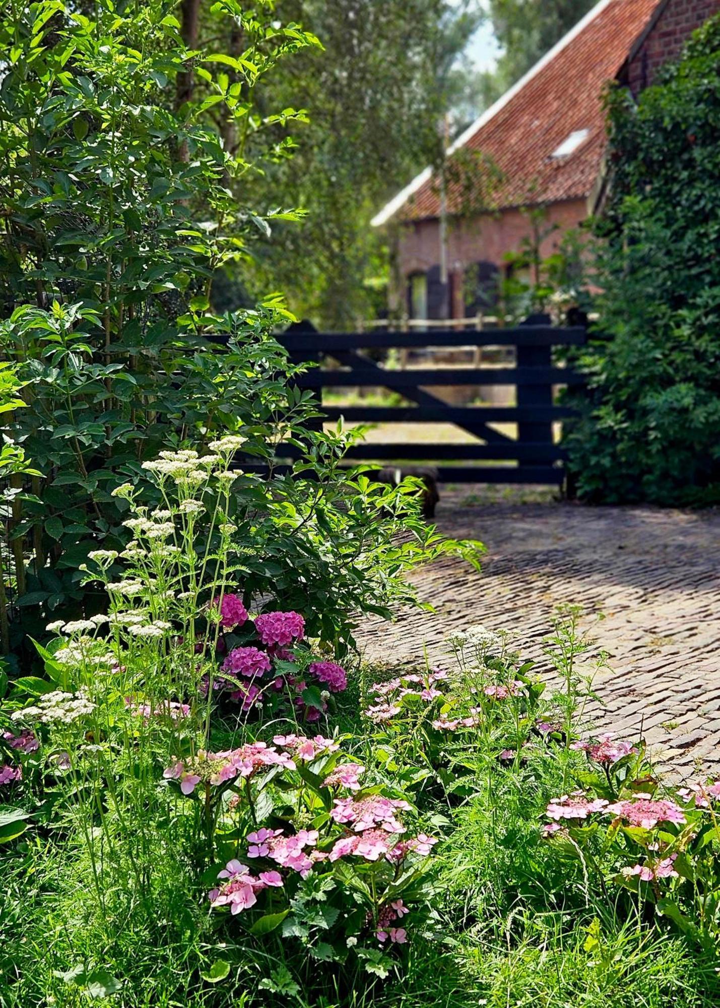 De Zeeuwsche Hoeve Kerkwerve Zewnętrze zdjęcie