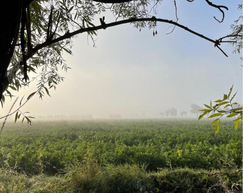 De Zeeuwsche Hoeve Kerkwerve Zewnętrze zdjęcie